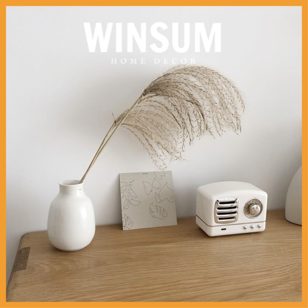 Loa Bluetooth Vintage Nghe Nhạc So Chill  - Winsum.decor