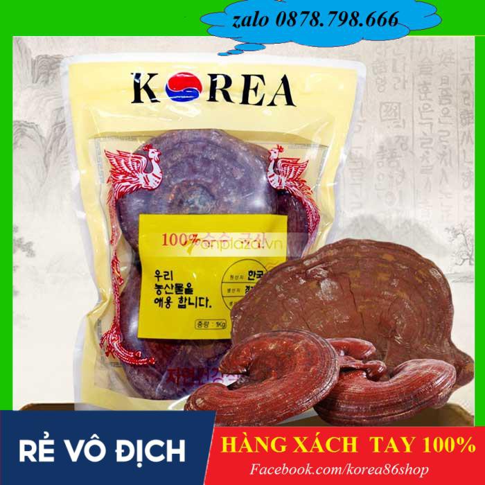 [ XÁCH TAY ]  Nấm linh chi tai đỏ 6 năm tuổi Hàn Quốc, Túi 1kg