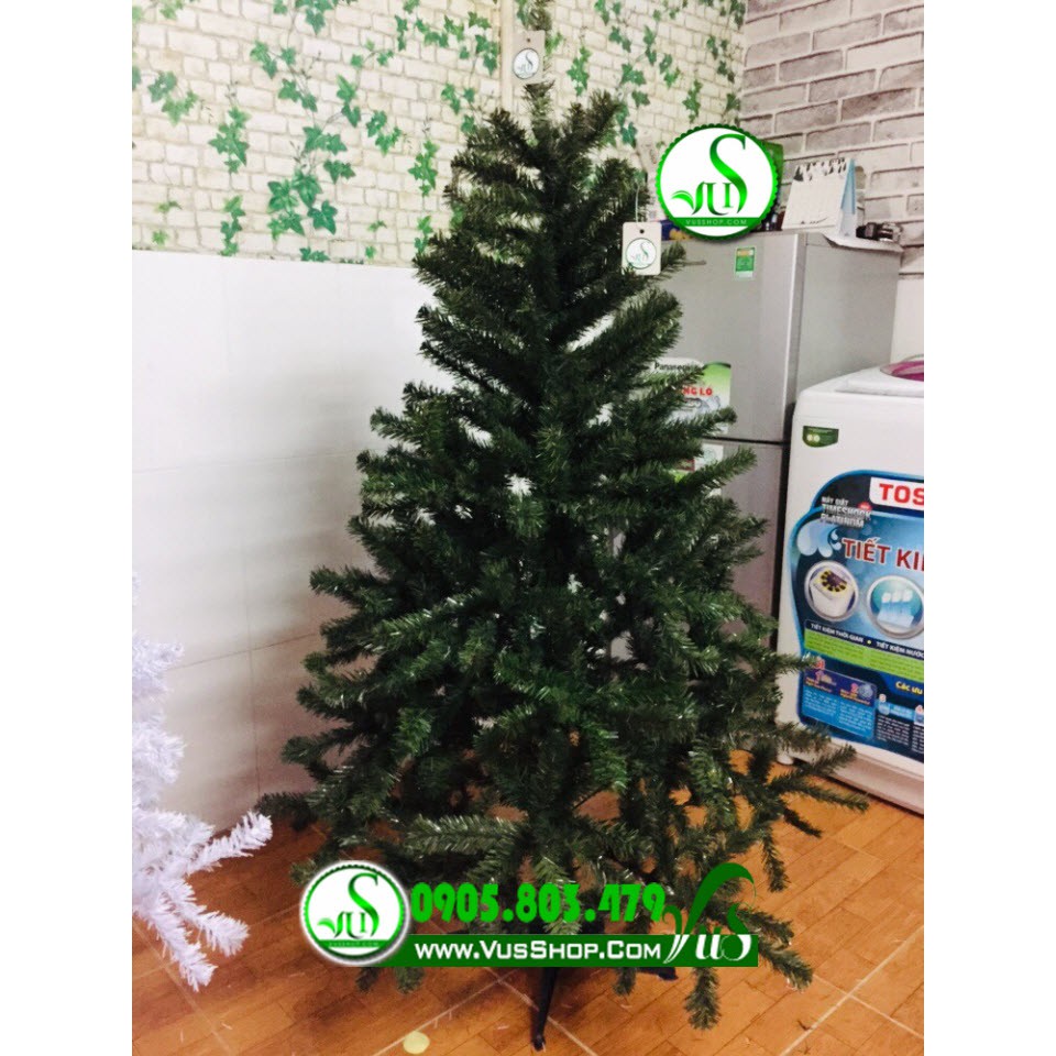 CÂY THÔNG NOEL ĐẦU TRÒN TẶNG KÈM DÂY KIM TUYẾN VÀ NGÔI SAO CAO 90CM ĐẾN 4M5