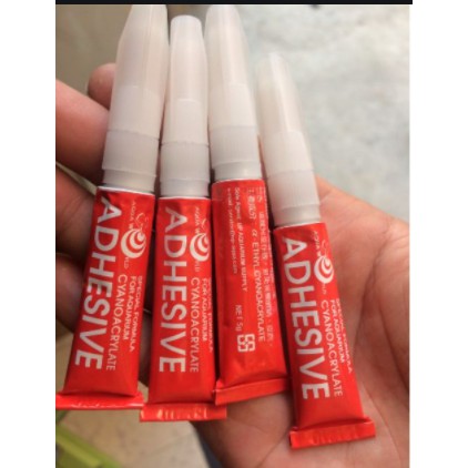 Keo Dán Rêu, Ráy - Keo Thủy Sinh