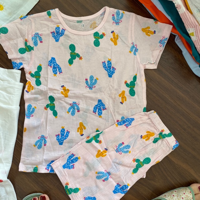 Bộ cotton giấy