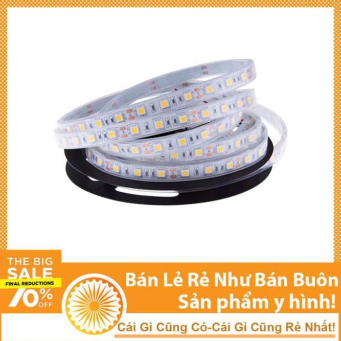 Led Dây RGB Không Cần Điều Khiển 12V (Chưa Bao Gồm Nguồn)