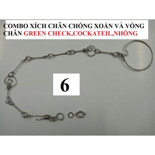 COMBO XÍCH CHÂN CÓ VÒNG CHỐNG XOẮN VÀ VÒNG CHÂN INOX CAO CẤP NGOẠI NHẬP CHO CÁC DÒNG VẸT