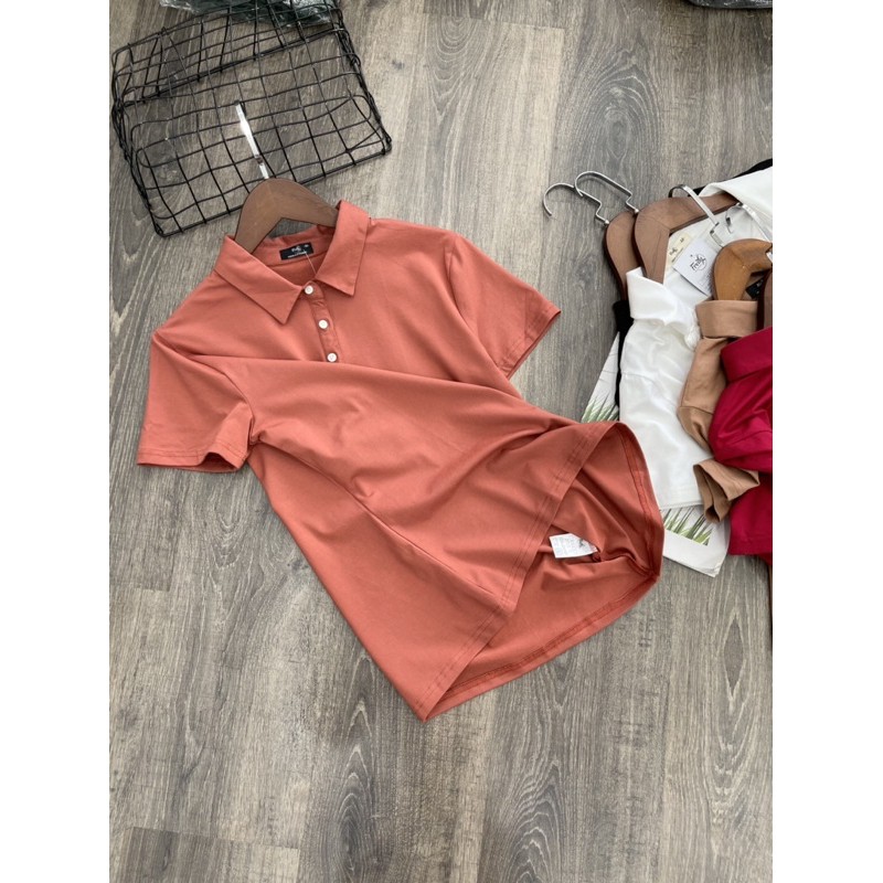 áo thun Polo t-shirt dư xịn vnxk siêu đẹp a262 | BigBuy360 - bigbuy360.vn