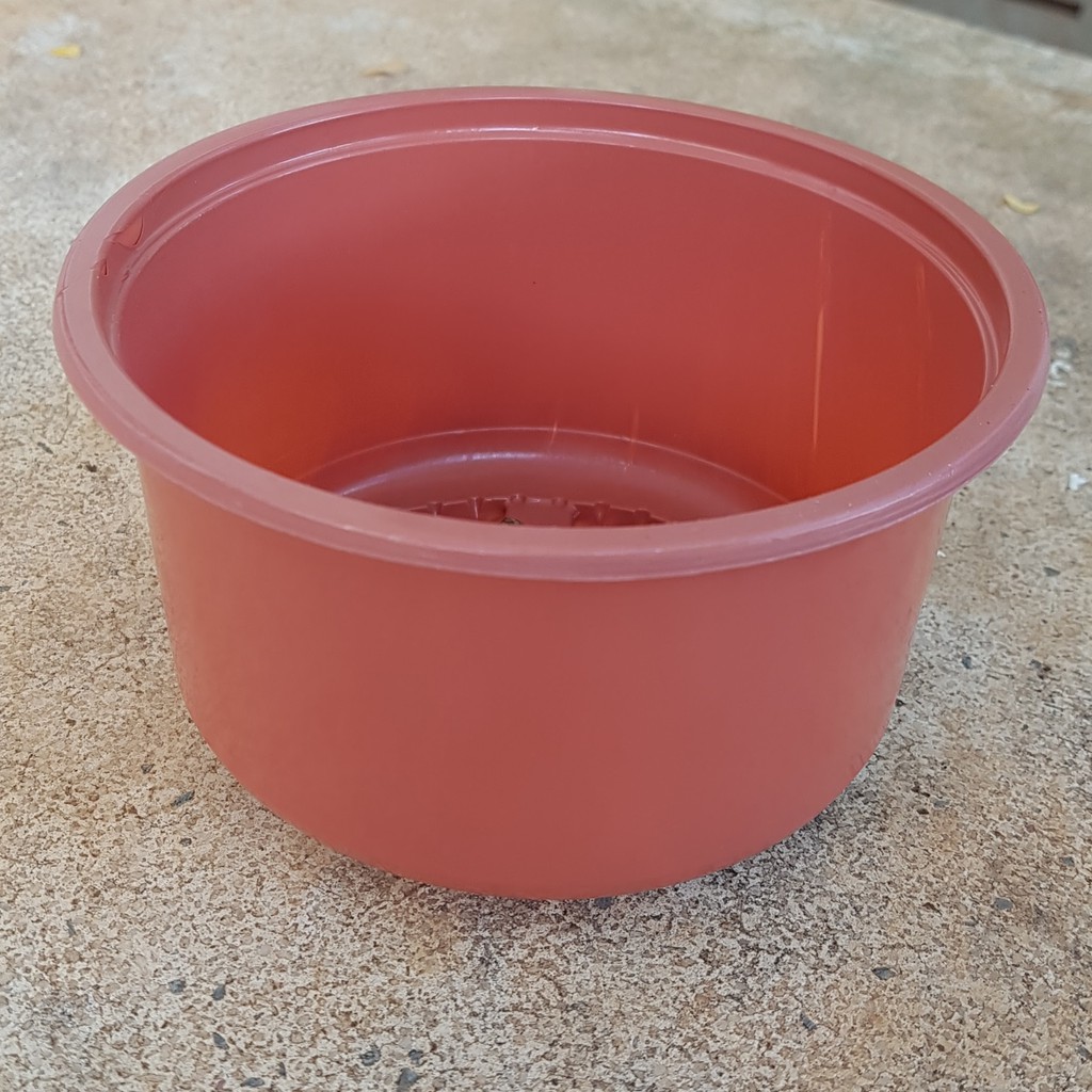 Chậu ươm lớn (có 2 màu trắng, nâu) |FREESHIP  SIÊU XINH | LỖI 1 ĐỔI 1