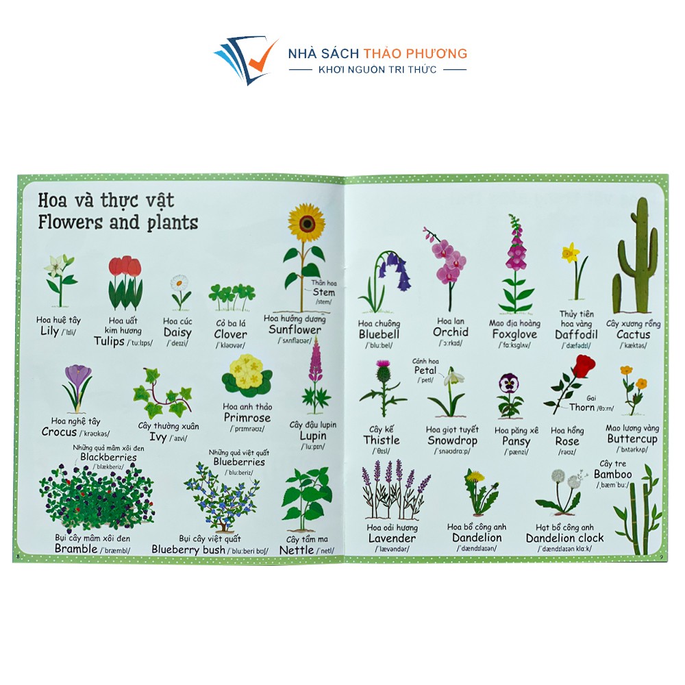 Sách - Cuốn sách từ vựng đầu tiên của tôi My First Words phát triển ngôn ngữ sớm cho bé từ 3 tuổi