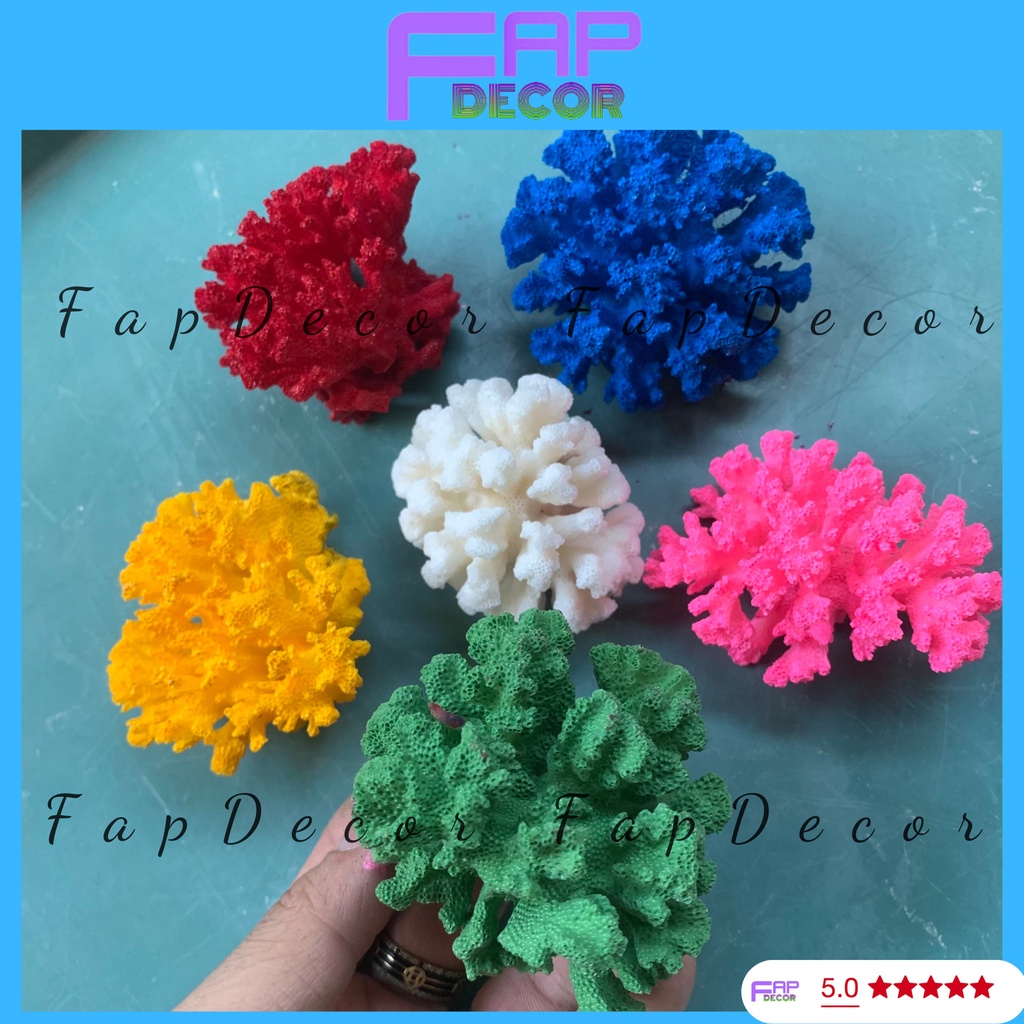 SAN HÔ BÔNG RẠN BIỂN PHONG THỦY MINI PHỐI MÀU SIÊU ĐẸP TRANG TRÍ THỦY SINH BỂ CÁ DECOR BÀN LÀM VIỆC - FAPDECOR
