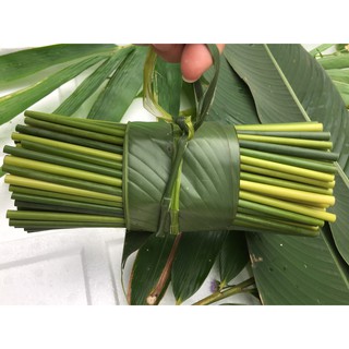 200 ỐNG HÚT CỎ BÀNG TƯƠI (MUA 200 TẶNG 10 ỐNG)