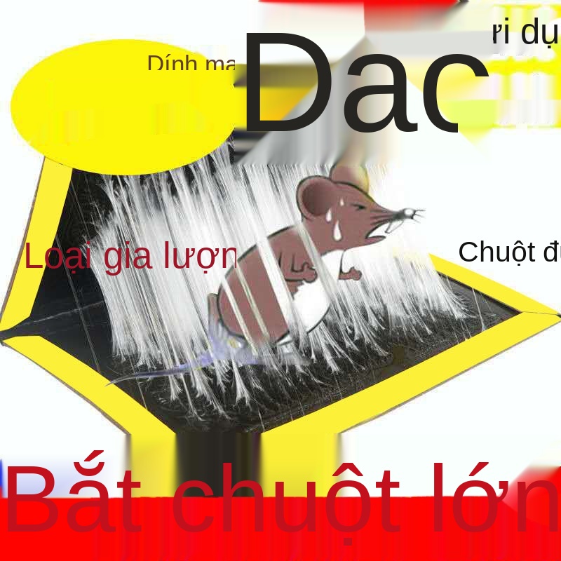V Bảng dính chuột miếng dán xác thực mạnh mẽ để bắt Kẹp với bẫy keo xua đuổi loài gặm nhấm và động vật dụng gia đình