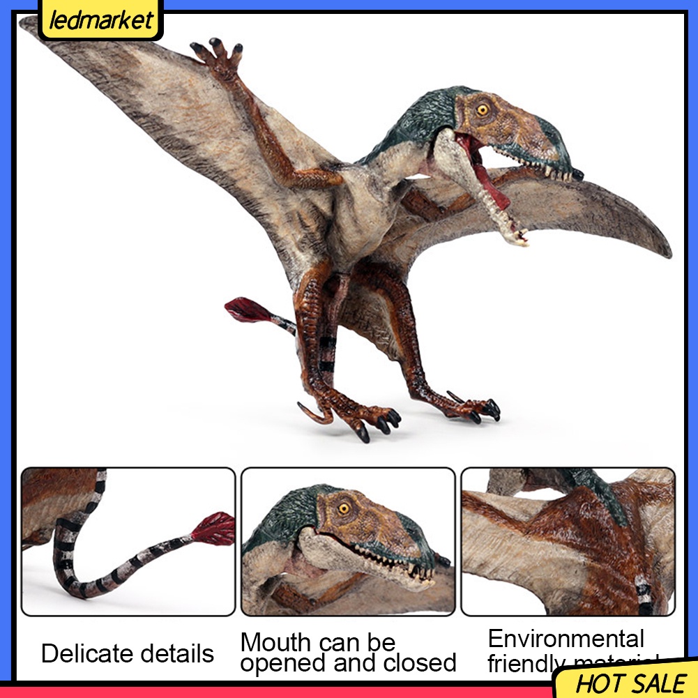 Mô hình đồ chơi khủng long bay dành cho bé yêu