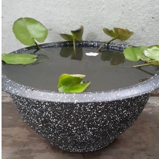 Chậu Truyền Thống - Chậu Bít Đáy Nuôi Cá, Trồng Sen, Thủy Canh, Thủy Sinh - Chậu Đục Lỗ Trồng Cây Rau, Kiểng(NHIỀU size)