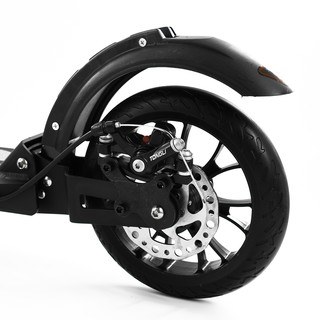 Xe Scooter ALS-A5D