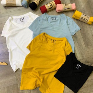 Áo phông cổ tim gap
