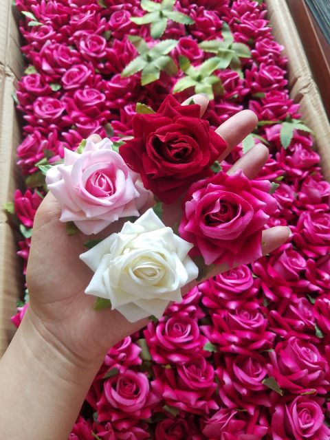 Đầu hoa hồng nhung cao cấp