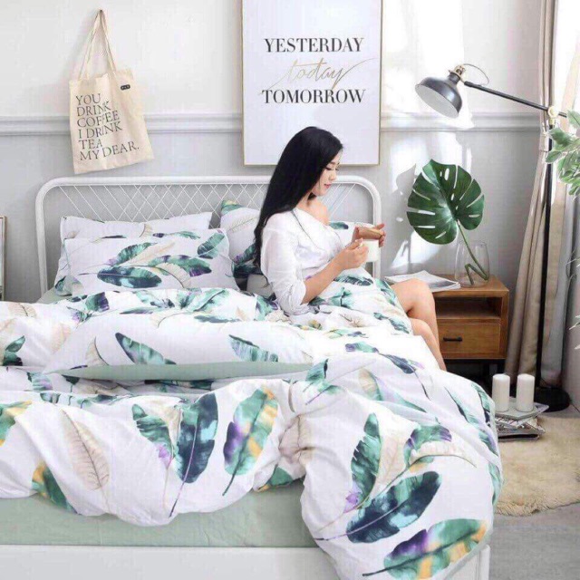 Bộ ga gối cotton poly