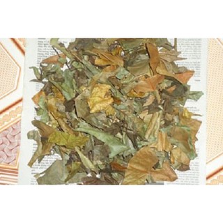 Đơn Lá Đỏ khô 1kg DV073