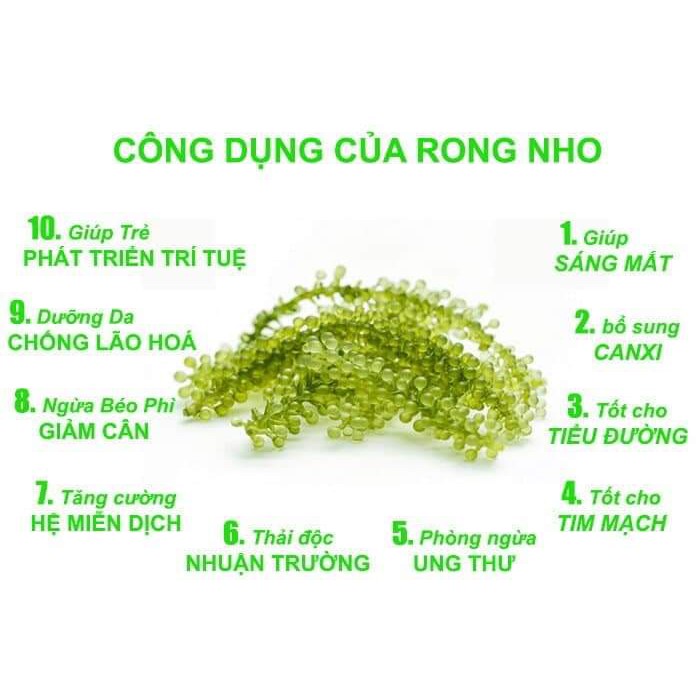 Rong Nho Tách Nước Khánh Hòa 50gr = 150gr Rong Tươi 🍀 GIÁ SỐC 🍀 Sản Xuất theo công nghệ Nhật Bản | BigBuy360 - bigbuy360.vn