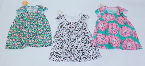 Sỉ váy cánh tiên gymboree