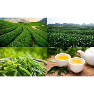 Hương Trà Ôlong - Oolong Tea Flavour
