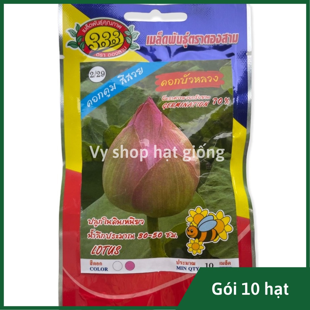 Hạt giống hoa sen cung đình Thái Lan gói 10 hạt 2 màu hồng - trắng