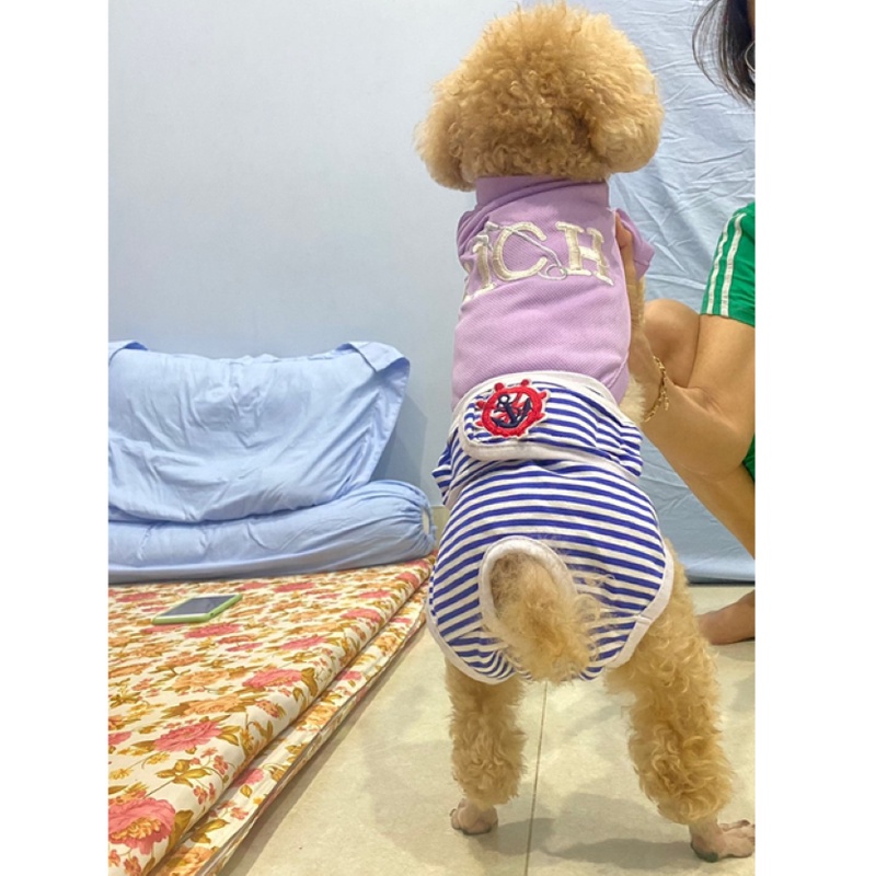 QUẦN CHIP CHO CHÓ MÈO, QUẦN SINH LÝ CHO CHÓ CÁI - LOVE PETS SHOP