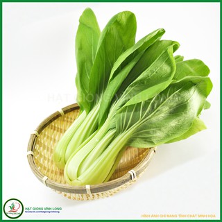 Hạt giống Cải bẹ Thượng Hải (Cải chít, cải thìa) TN 290 - 20g