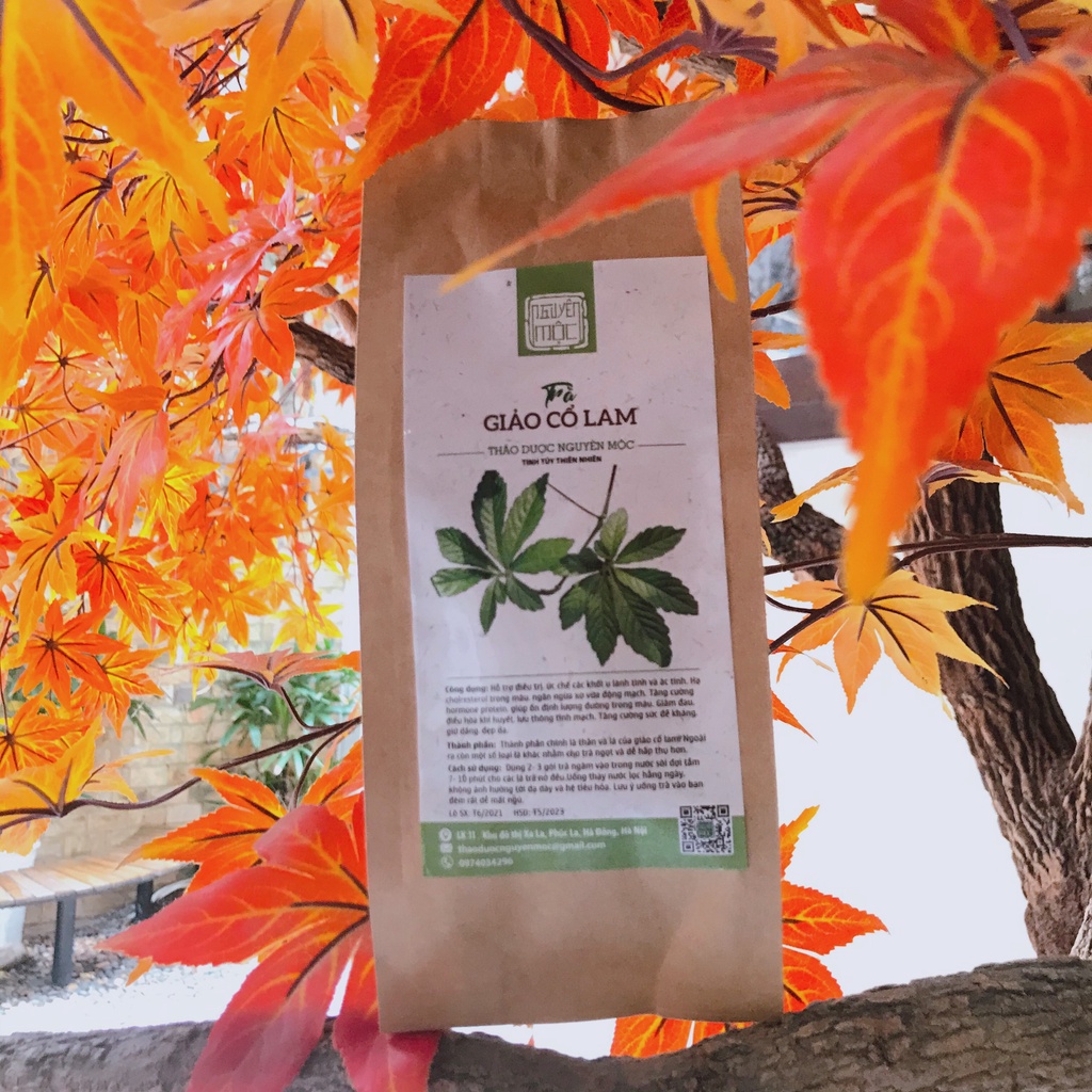 Trà giảo cổ lam thảo dược Nguyên Mộc hỗ trợ giữ dáng đẹp da, cải thiện giấc ngủ  điều hòa khí huyết | BigBuy360 - bigbuy360.vn