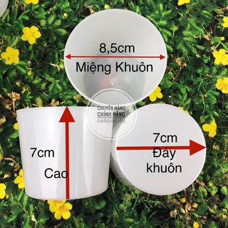 CHUNG ĐÁ ĐẠI HOFACO HPL29