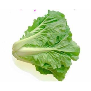 Hạt giống cải bẹ dún (10gr)
