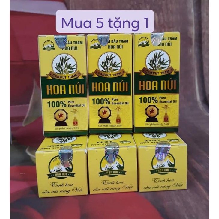 COMBO 6 CHAI TINH DẦU TRÀM HOA NÚI