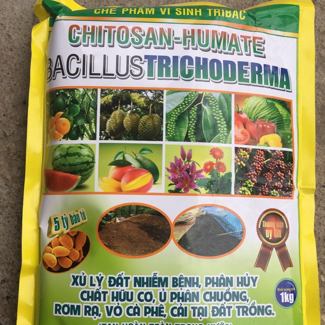 Chế phẩm Trichoderma Chitosan-humate (hạt, tan hoàn toàn trong nước) tưới gốc trị thối rễ, vàng lá trên cây trồng