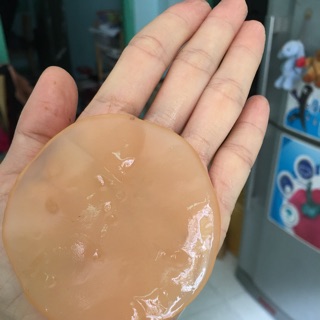 Con Giống SCOBY - Trà Kombucha