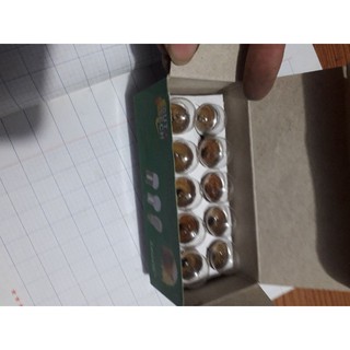 bóng đèn xi nhan 1 tóc, 12v(10w), 24v( 10w)