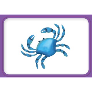 Flashcard Oxford Phonic World 4