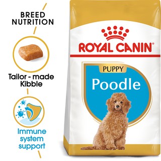 Thức ăn cho chó Poodle con Royal Canin Poodle Junior