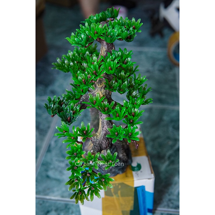 TIỂU CẢNH BONSAI GIẢ TRANG TRÍ BỂ CÁ NON BỘ CAO 26CM DÀI 30CM