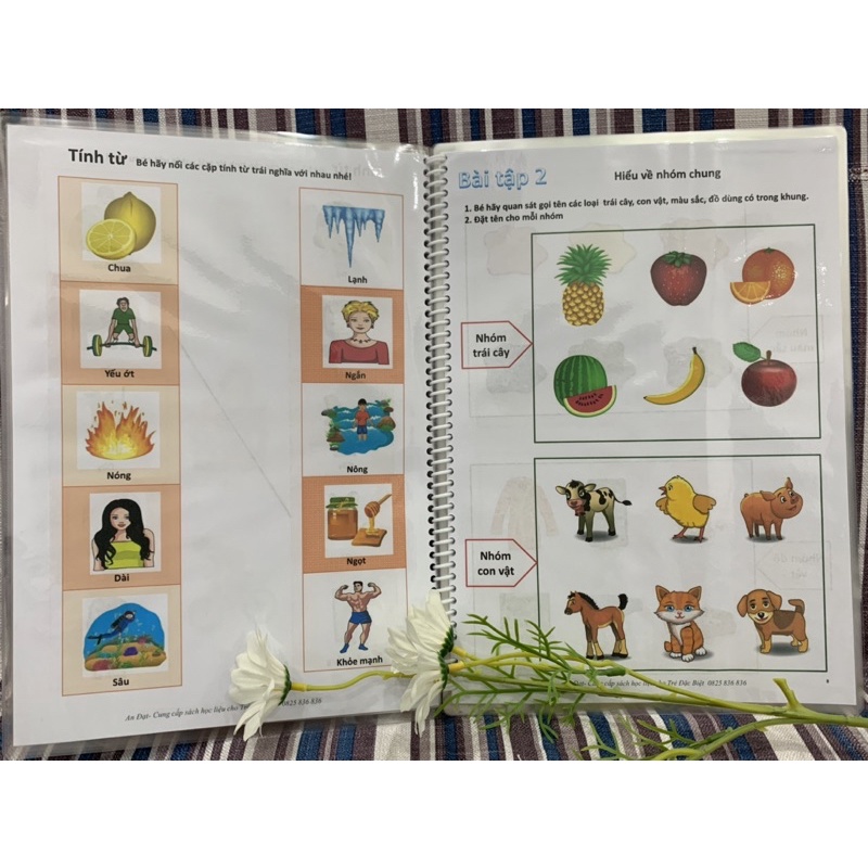 Học Liệu☘️Bài Tập Phát Triển Tư Duy &amp; Ngôn Ngữ cho bé