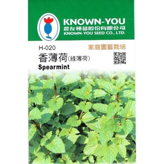 Hạt giống bạc hà tím Spearmint Know you seed