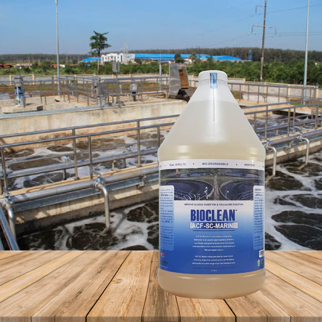 Hàng Mỹ - Vi Sinh Xử Lý Nước Thải Có Độ Mặn Cao Bioclean ACF-SC Marine - Chai Gallon= 3,785L
