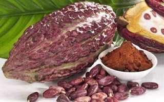 Bột ca cao nguyên chất