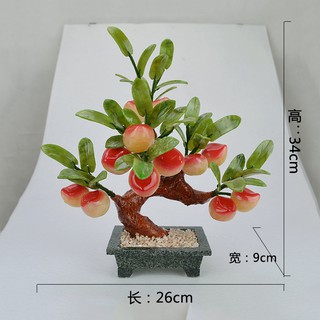 CÂY ĐÀO TIÊN 12 QUẢ ĐÁ PHONG THỦY