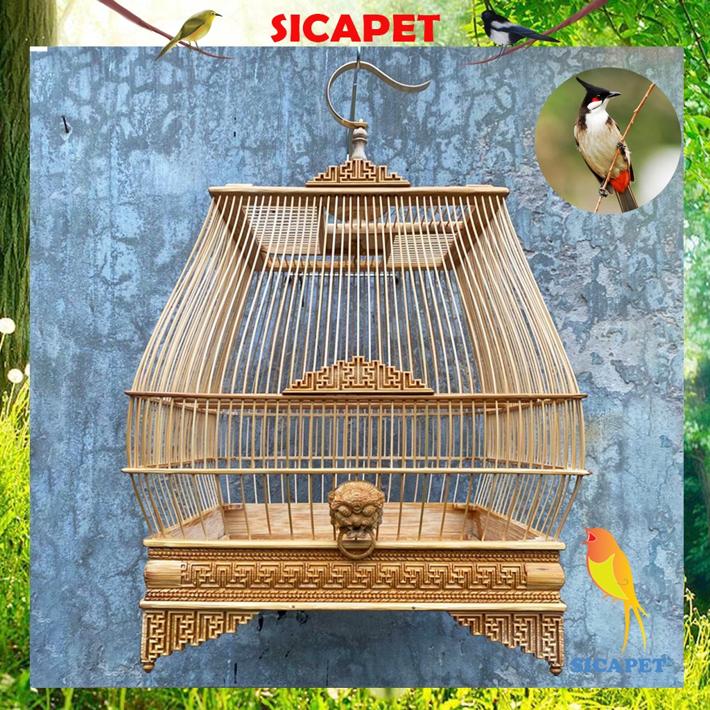 Lồng chim chào mào, Lồng sing Chào Mào vuông tre già SICAPET