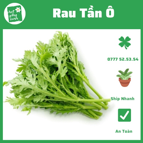 Hạt Giống Tần ô
