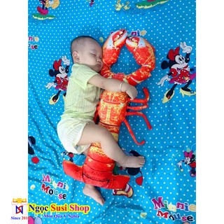 GẤU BÔNG TÔM HÙM [CỰC HOT ]