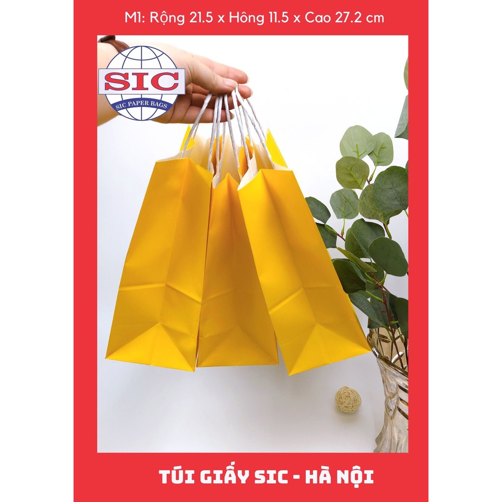 [SET 20 CHIẾC] Túi M01 có quai  (ẢNH THẬT SẢN PHẢM VÀ VIDEO)
