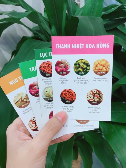 HỘP TRÀ HOA REDMELON 30 GÓI (thanh nhiệt, dưỡng nhan, an thần, giải độc tố tặng kèm bình) | BigBuy360 - bigbuy360.vn