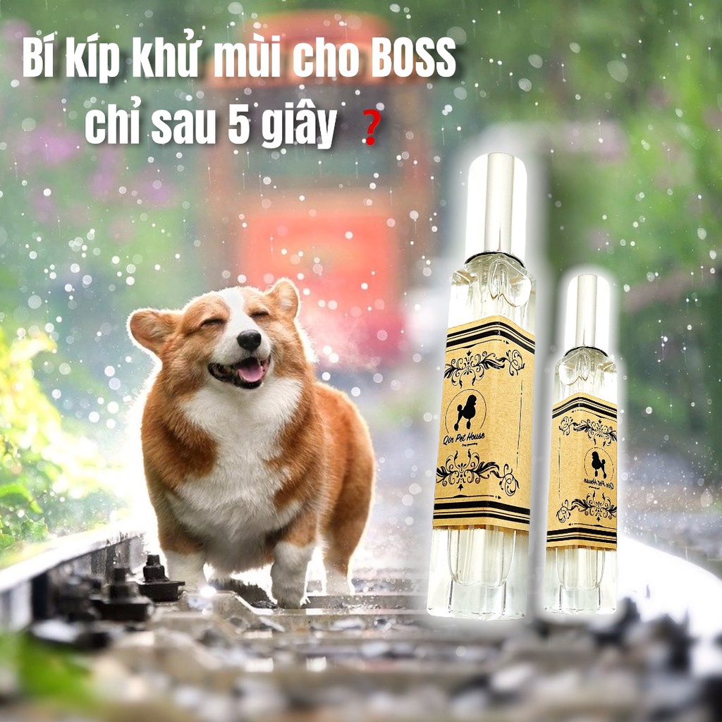 Nước Hoa Thú Cưng - 2 in 1 Công nghệ Nano Qinperfume