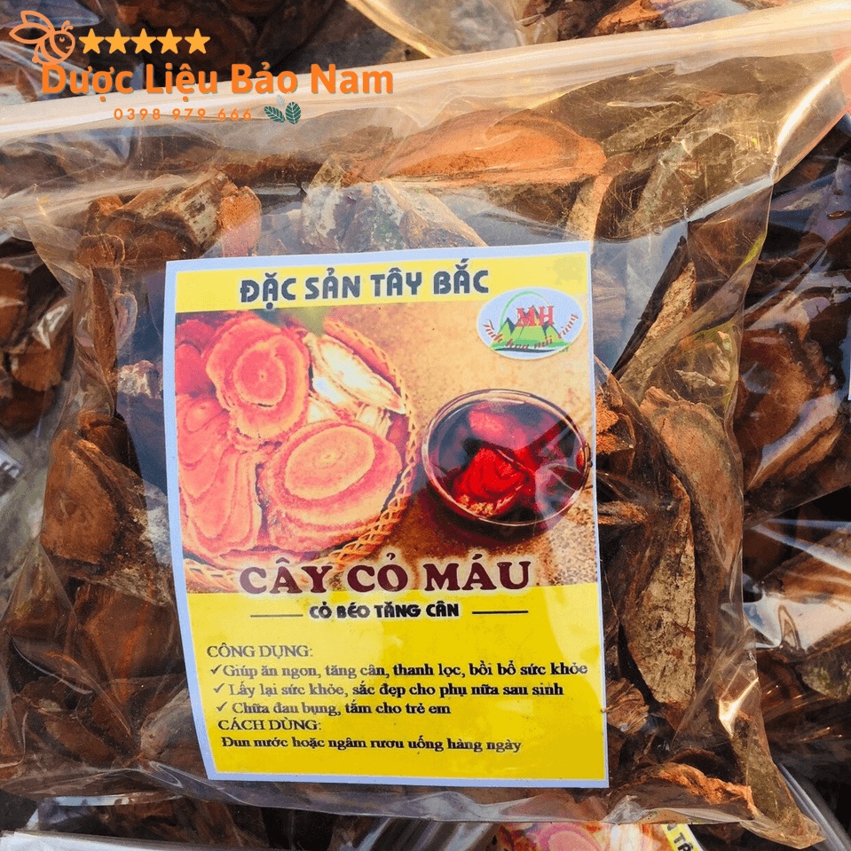 Cây cỏ máu, cỏ béo tăng cân dược liệu quý tại rừng già Sìn Hồ Lai Châu -1kg