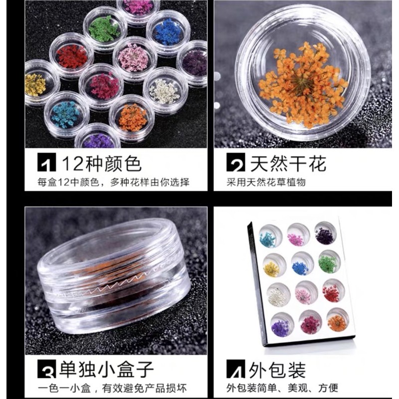 Set hoa khô