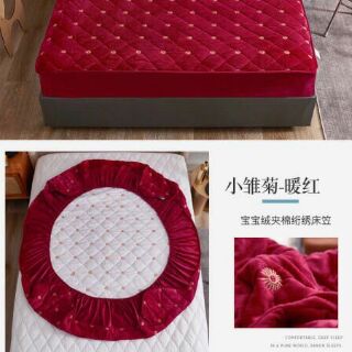 Set  ga gối hoa cúc